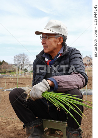 Senior planting onion 112944145