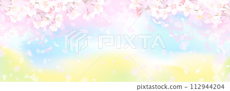 Cherry blossoms and rape blossom fields, spring sky 112944204