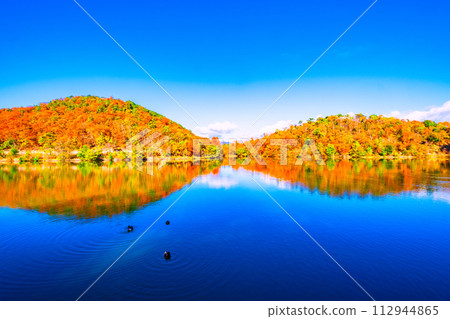 Autumn leaves at Takaragaike, Kyoto 112944865