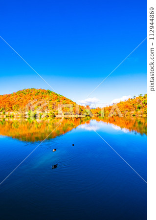 Autumn leaves at Takaragaike, Kyoto Autumn leaves at Takaragaike, Kyoto 112944869