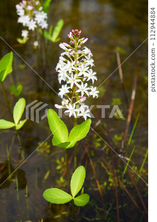 6592 三岸 112944884