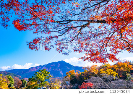 京都寶池公園的秋葉與比叡山 京都寶池公園的秋葉與比叡山 112945084