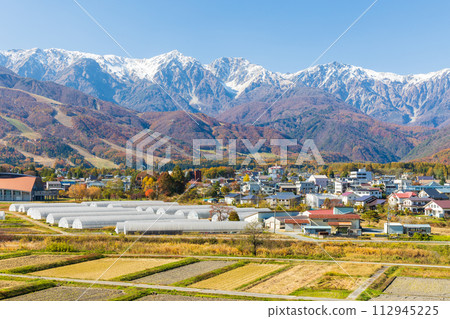 秋天的長野縣白馬，白馬三山三層秋葉 112945225