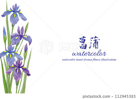 watercolor hand painted irises flower background 112945383