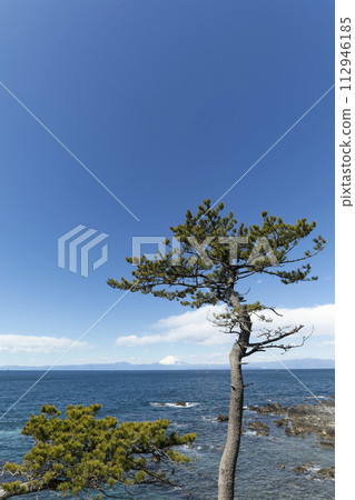 來自Arasaki Coast的富士山 112946185