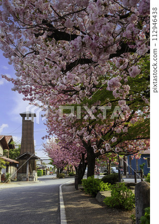 fire lookout tower and double cherry blossoms) fire lookout tower and double cherry blossoms) 112946438
