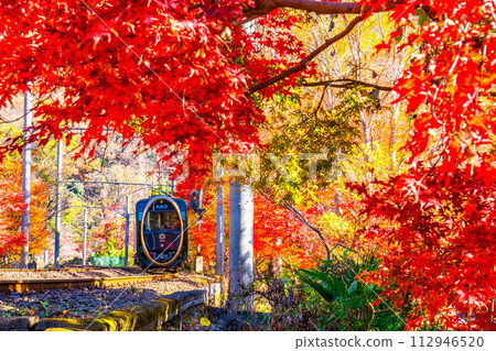 Kyoto Yase autumn leaves and Eizan Electric Railway 112946520