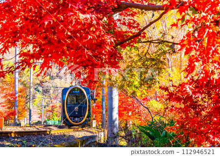 Kyoto Yase autumn leaves and Eizan Electric Railway Kyoto Yase autumn leaves and Eizan Electric Railway 112946521