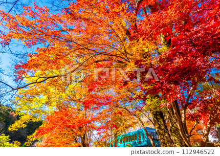 Kyoto Yase autumn leaves and Eizan Electric Railway Kyoto Yase autumn leaves and Eizan Electric Railway 112946522