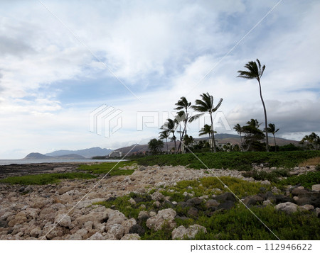 Rocky shoreline at Ko Olina 112946622