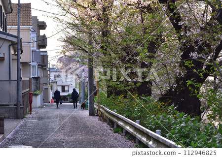 Cherry blossom trees and spring scenery next to Setagaya, Sakuragaoka, and Chitose Street Cherry blossom trees and spring scenery next to Setagaya, Sakuragaoka, and Chitose Street 112946825