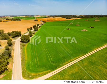 Aerial view of the fields in the region of Castile-La Mancha Aerial view of the fields in the region of Castile-La Mancha 112946962