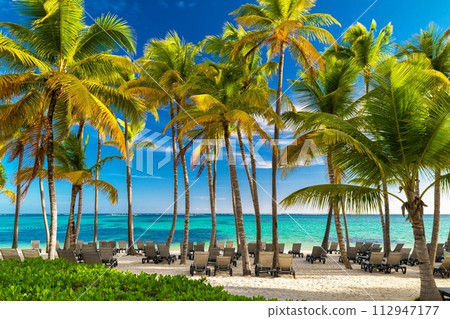 Ocean view, Bavaro beach, Punta Cana, Dominican Republic 112947177