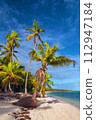 View of nice tropical beach with palms around. Holiday and vacation concept. Tropical beach. 112947184