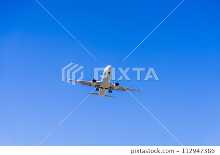 《Airplane》Boeing Boeing 737NG > 737-800 112947386