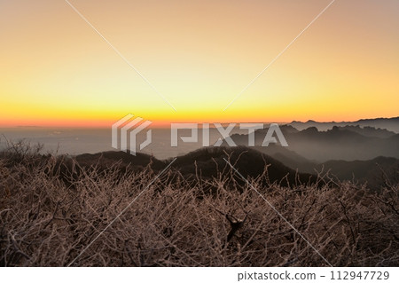 從輕井澤舊碓冰峠觀景台看白霜樹、日出天空和妙義山山脈 112947729