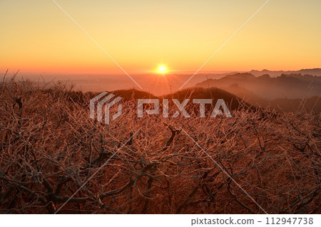 從輕井澤舊碓冰峠展望台眺望日出和霜凍樹木上的妙義山脈 從輕井澤舊碓冰峠展望台眺望日出和霜凍樹木上的妙義山脈 112947738