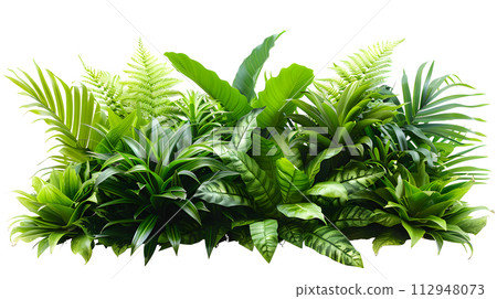 AI-generated content. A variety of terrestrial plants including trees, shrubs, and grasses are displayed on a white background. These evergreen, flowering plants create a beautiful landscape with 112948073