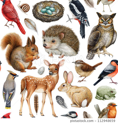 Hand drawn forest animals seamless pattern. Watercolor painted illustration. Different forest wildlife animals and birds seamless pattern. Squirrel, hedgehog, owl, deer, robin, wren elements isolated 112948659