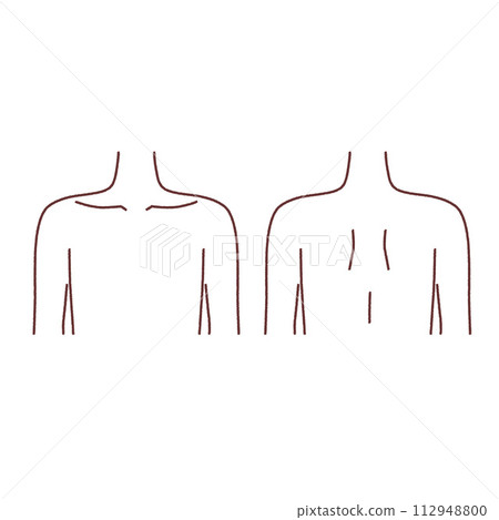 Male body parts chest back 112948800