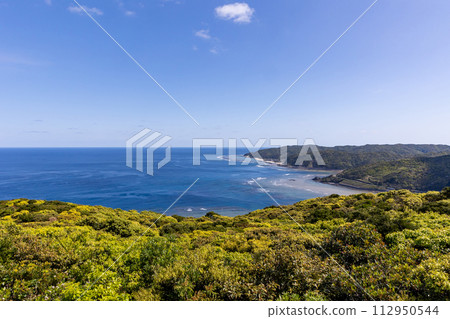 View from Gamozaki Tourist Park Observation Deck View from Gamozaki Tourist Park Observation Deck 112950544