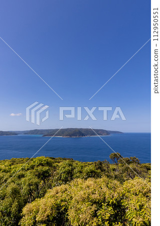 View from Gamozaki Tourist Park Observation Deck 112950551