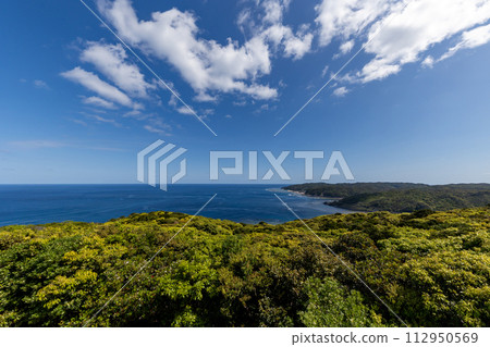 從蒲崎觀光公園展望台眺望的景色 112950569