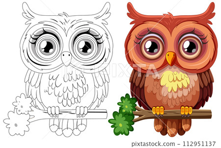 Before and After Colorful Owl Illustration Before and After Colorful Owl Illustration 112951137