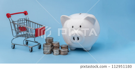 Saving money and shopping or finance, banking and investment concepts. Piggy bank, pile of coins and cart on blue background.. 112951180