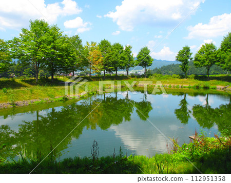 Park irrigation pond 112951358