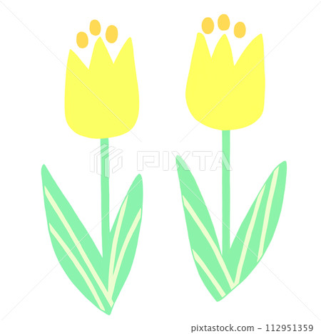 simple yellow tulip illustration 112951359