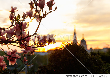 Pink blooming magnolia branches against Annunciation cathedral at sunset in Kharkov, Ukraine 112952412
