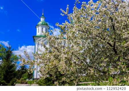 Saviour-Transfiguration Mhar Monastery near Lubny in Poltava region, Ukraine 112952420