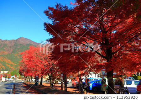 View of maple leaves in front of Lake Kawaguchi View of maple leaves in front of Lake Kawaguchi 112952920