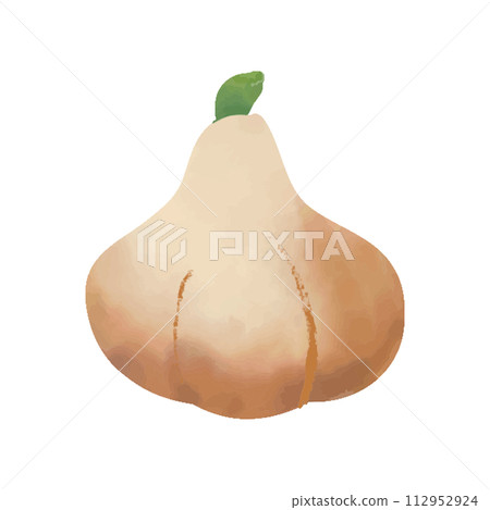 Garlic isolated on white background. Watercolor hand drawn illustration. Garlic isolated on white background. Watercolor hand drawn illustration. 112952924
