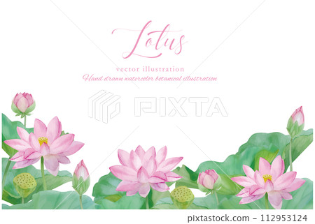水彩手繪荷花裝飾葉背景素材 112953124