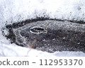 Stream of melting snow 112953370