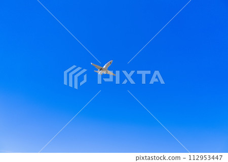 [Airplane] Honda Honda HA-420 HondaJet 112953447