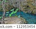 Cenote 112953454