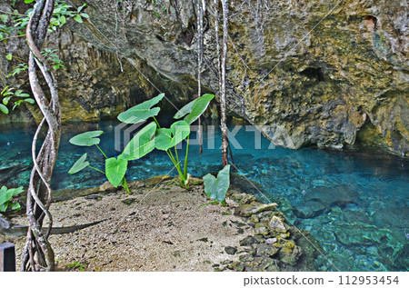 Cenote Cenote 112953454