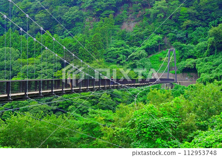 Kinu Tateiwa Suspension Bridge is a famous spot in Kinugawa Onsen called the bridge of matchmaking. 112953748