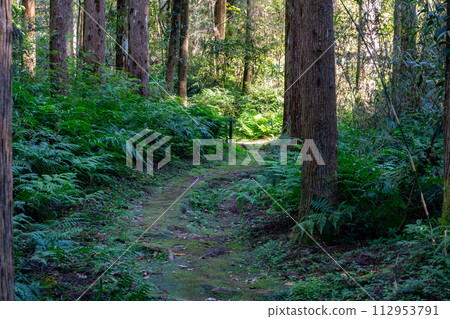 通往黑川洞窟的散步道風景 通往黑川洞窟的散步道風景 112953791