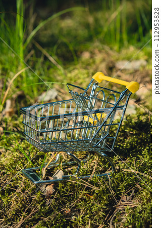 Shopping trolley on Background nature, forest, trees greenery. Sustainable lifestyle, conscious consumption. Black Friday sale discount shopaholism, ecology concept. The concept of purchase of 112953828