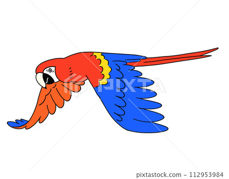 Hand drawn red macaw illustration material 112953984