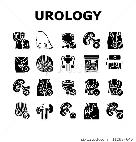 urology prostate urinary kidney icons set vector 112954640