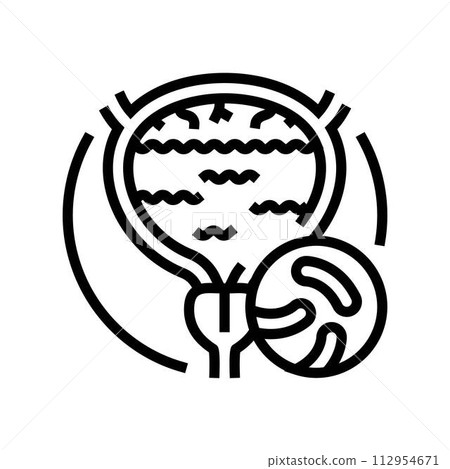 cystitis urology line icon vector illustration 112954671