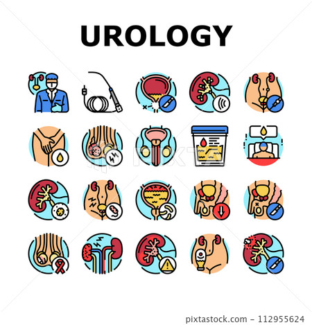 urology prostate urinary kidney icons set vector 112955624