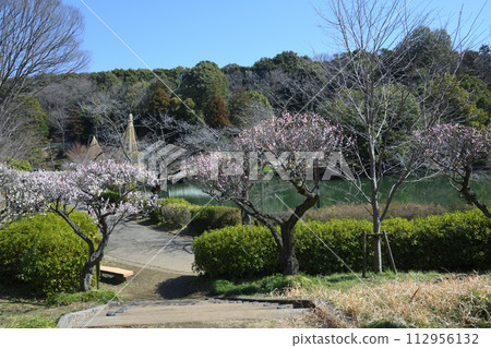Meirin Ike公園梅花森林 112956132