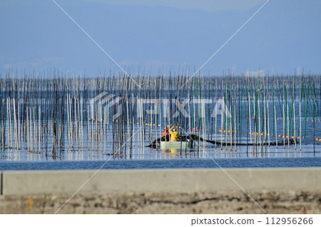 Omuta City, Miike Port, seaweed field, 112956266