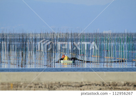 Omuta City, Miike Port, seaweed field, 112956267